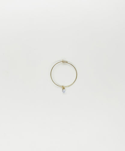 Orecchino HOOPS