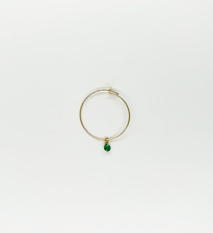 Orecchino HOOPS