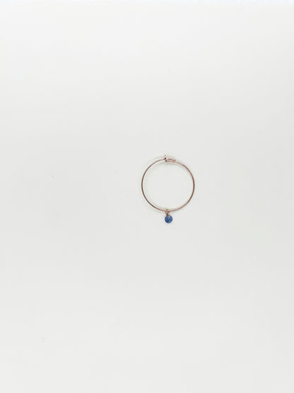 Orecchino HOOPS