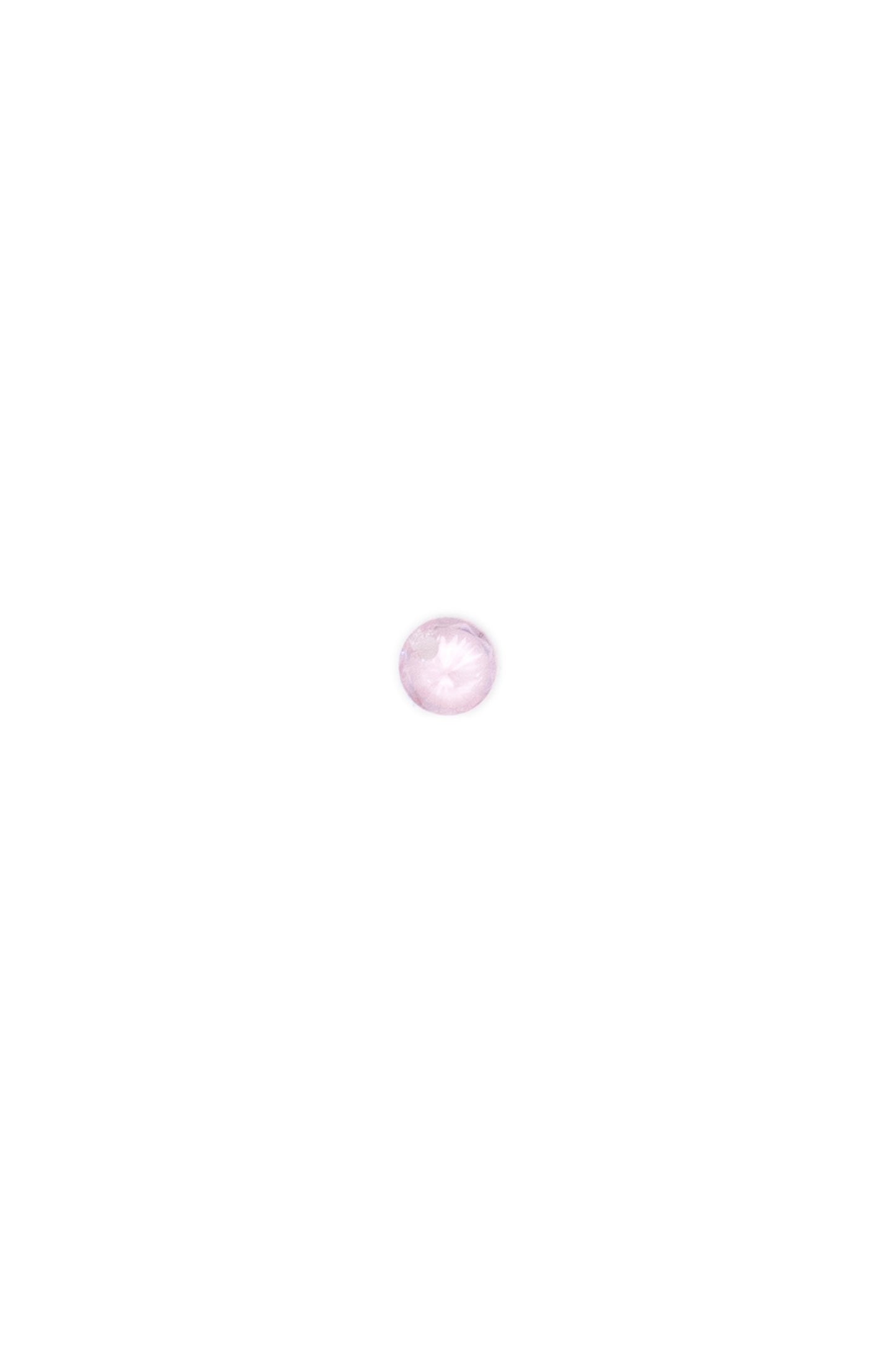 Rosa_dac55099-1c7a-4974-920a-2058e889f7c7